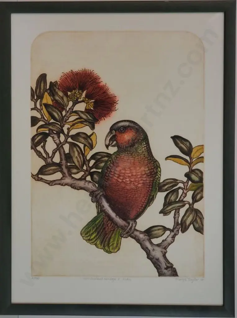 TAYLOR, Mary E. (1948-) - New Zealand Heritage - Kaka Image 1++
