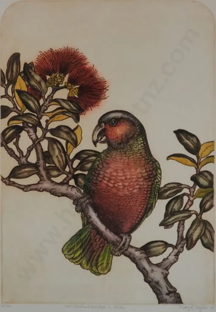 TAYLOR, Mary E. (1948-) - New Zealand Heritage - Kaka Image 1++