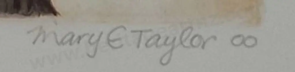 TAYLOR, Mary E. (1948-) - New Zealand Heritage - Kaka Image 1++