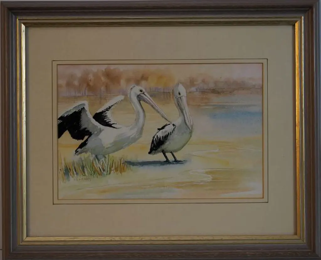 UNKNOWN Artist - Pelicans Image 1++