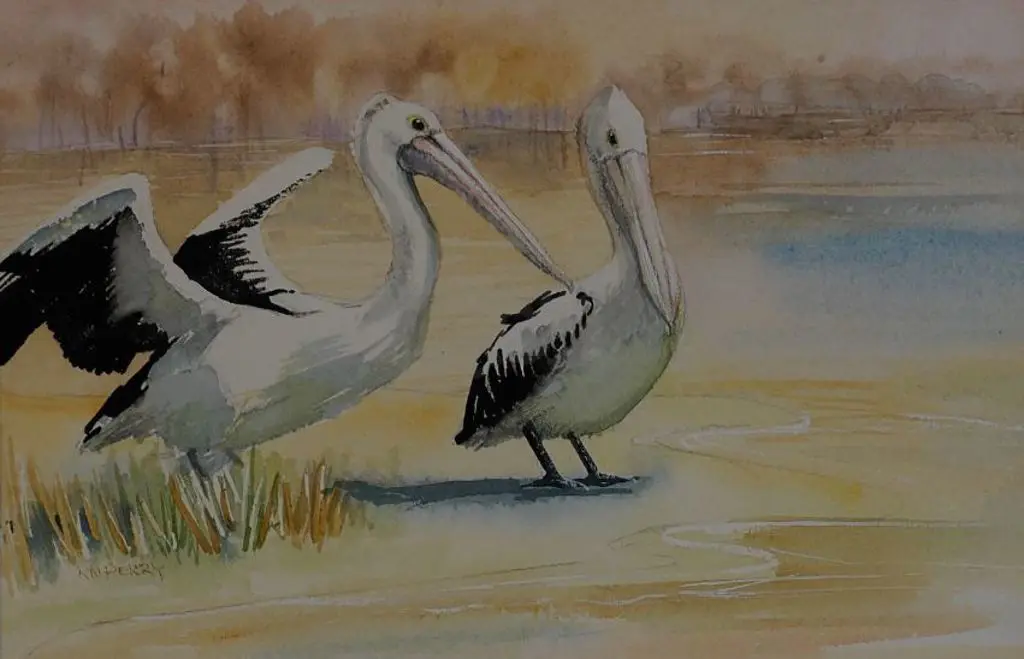 UNKNOWN Artist - Pelicans Image 1++