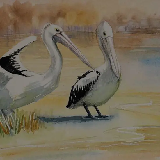UNKNOWN Artist - Pelicans
