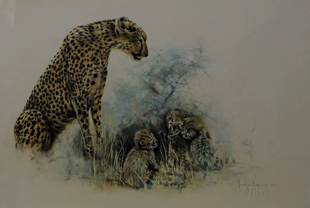 JAQUIERY. Merrilyn (1948-) - Leopards Image 1++