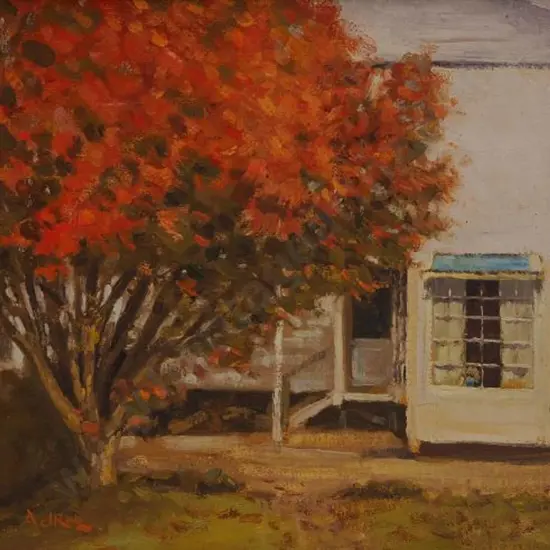 RAE, A.D. - Study of Japanese Maple