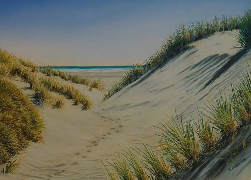 ROSS, Jane - Waikawa Sands Image 1++