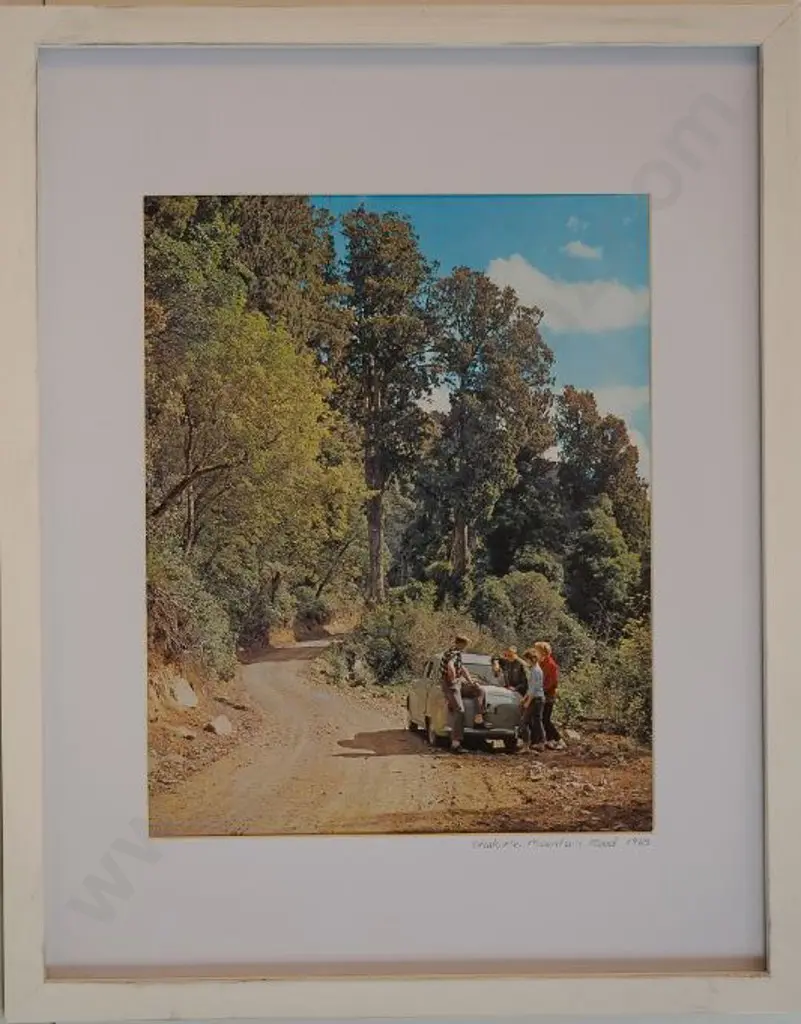 UNKNOWN Photographer - Ohakune Mountain Road 1965 Image 1++