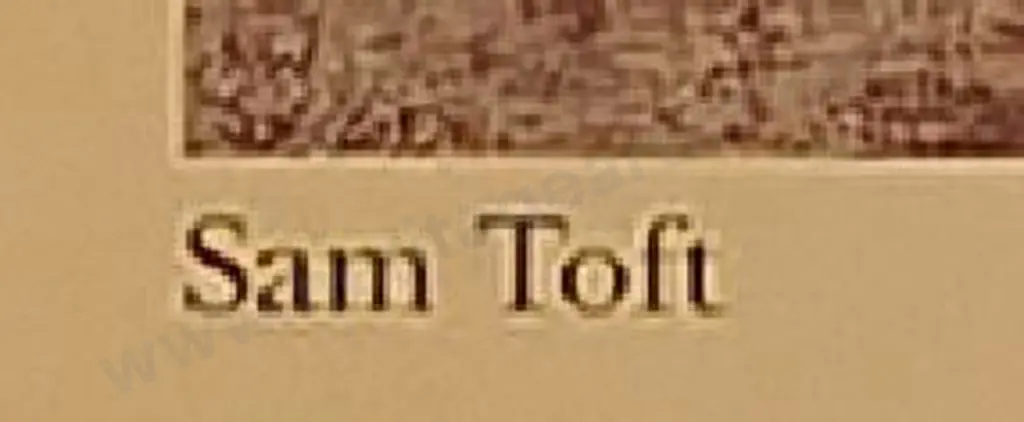 TOFT, Sam - On the Edge of the Sand Image 1++