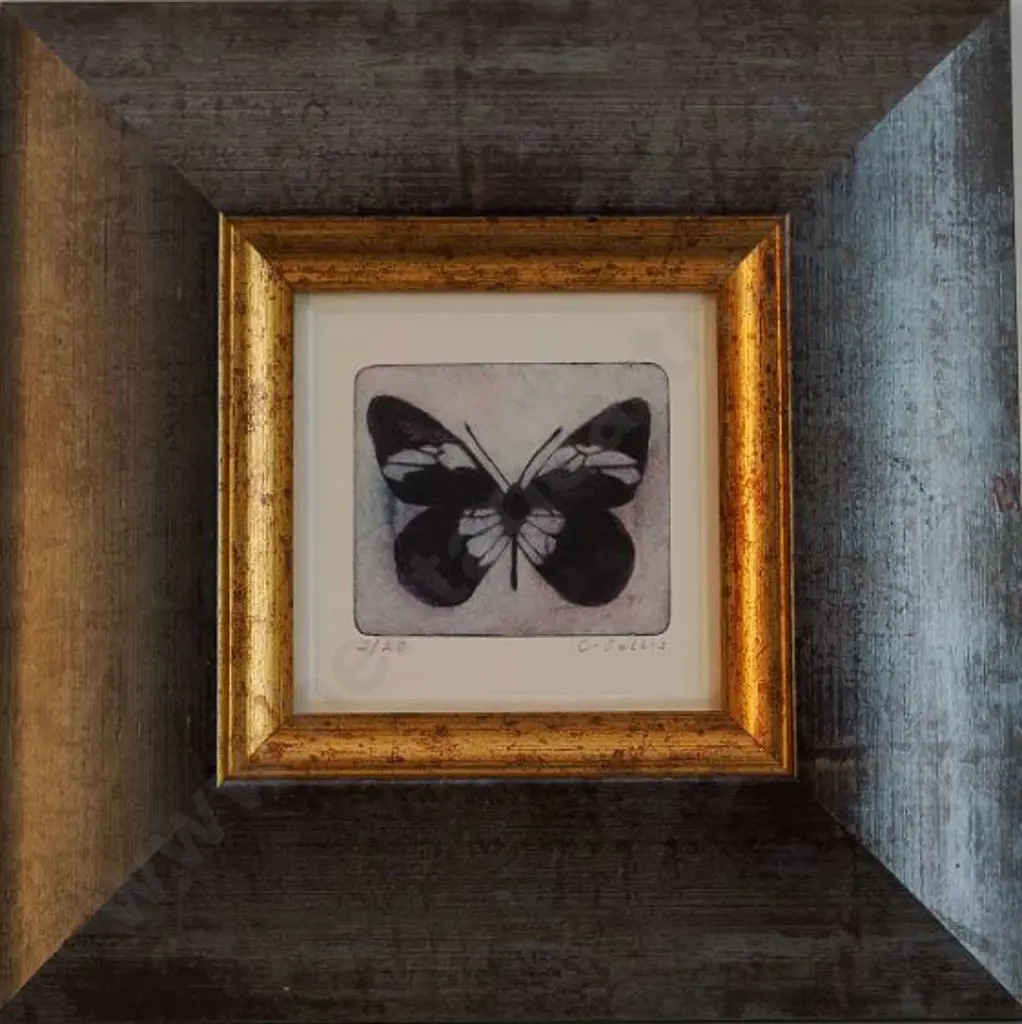 SALLIS, Chrissie - Butterfly Image 1++