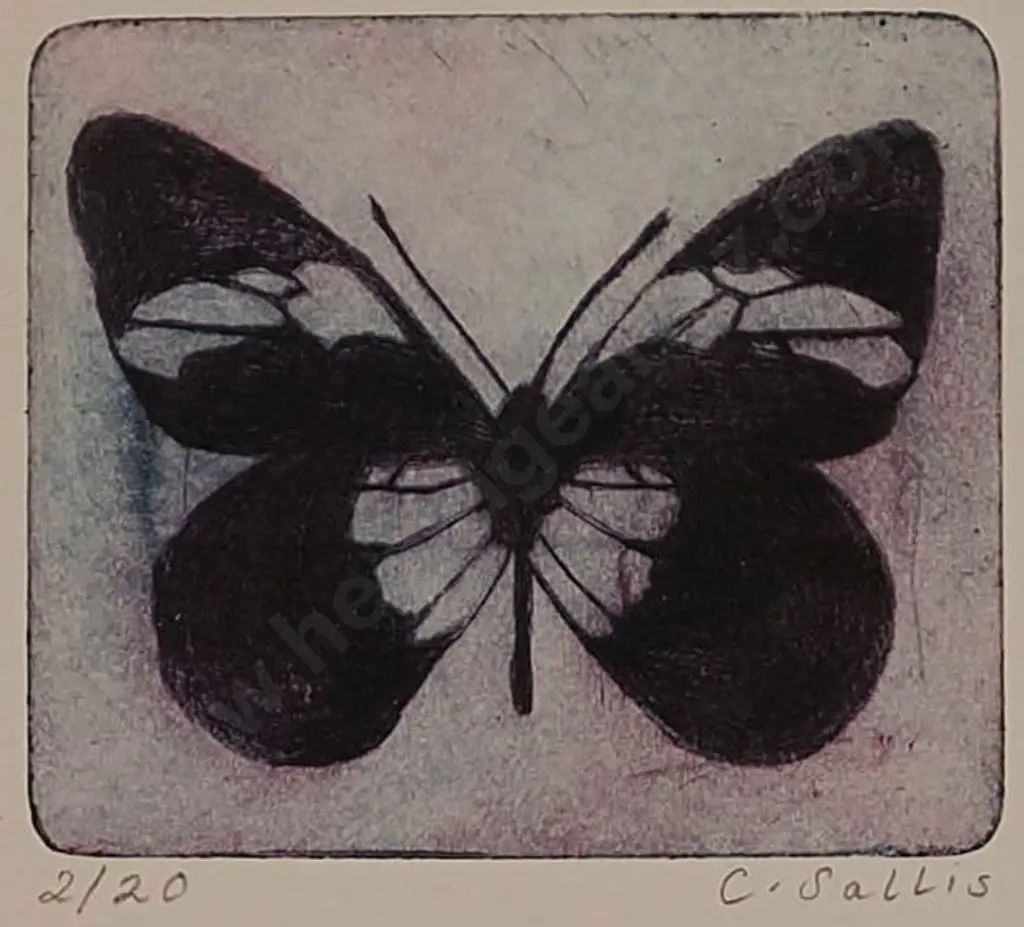 SALLIS, Chrissie - Butterfly Image 1++