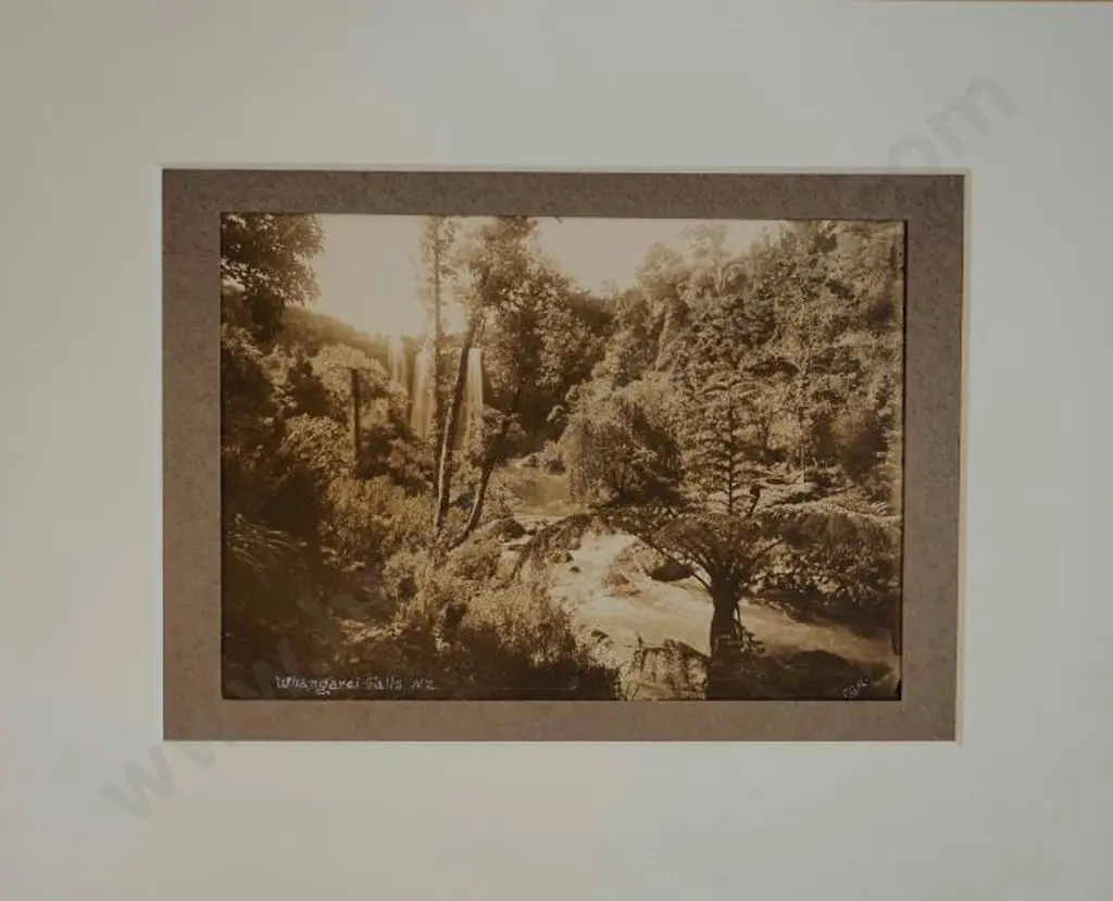 RADCLIFFE, Frederick George (1863-1923) - Whangarei Falls Image 1++