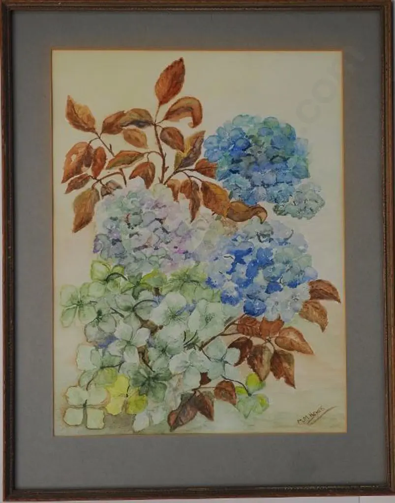 McKENZIE-HEYES, Muriel - Hydrangeas Image 1++