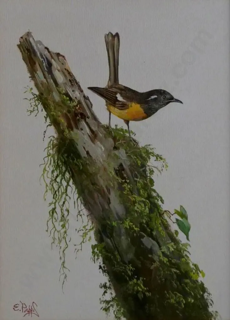 PAPPS, Ernest Albert (1910-2001) - Stitchbird Image 1++