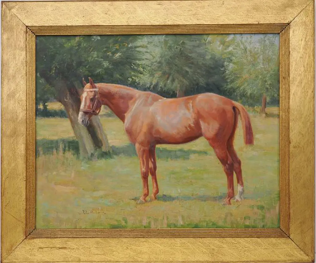 WHITEMAN. Violet Emily (1873-1952) - Standing Horse in Field, c. 1907 Image 1++