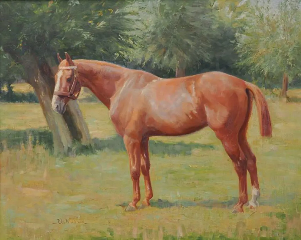 WHITEMAN. Violet Emily (1873-1952) - Standing Horse in Field, c. 1907 Image 1++