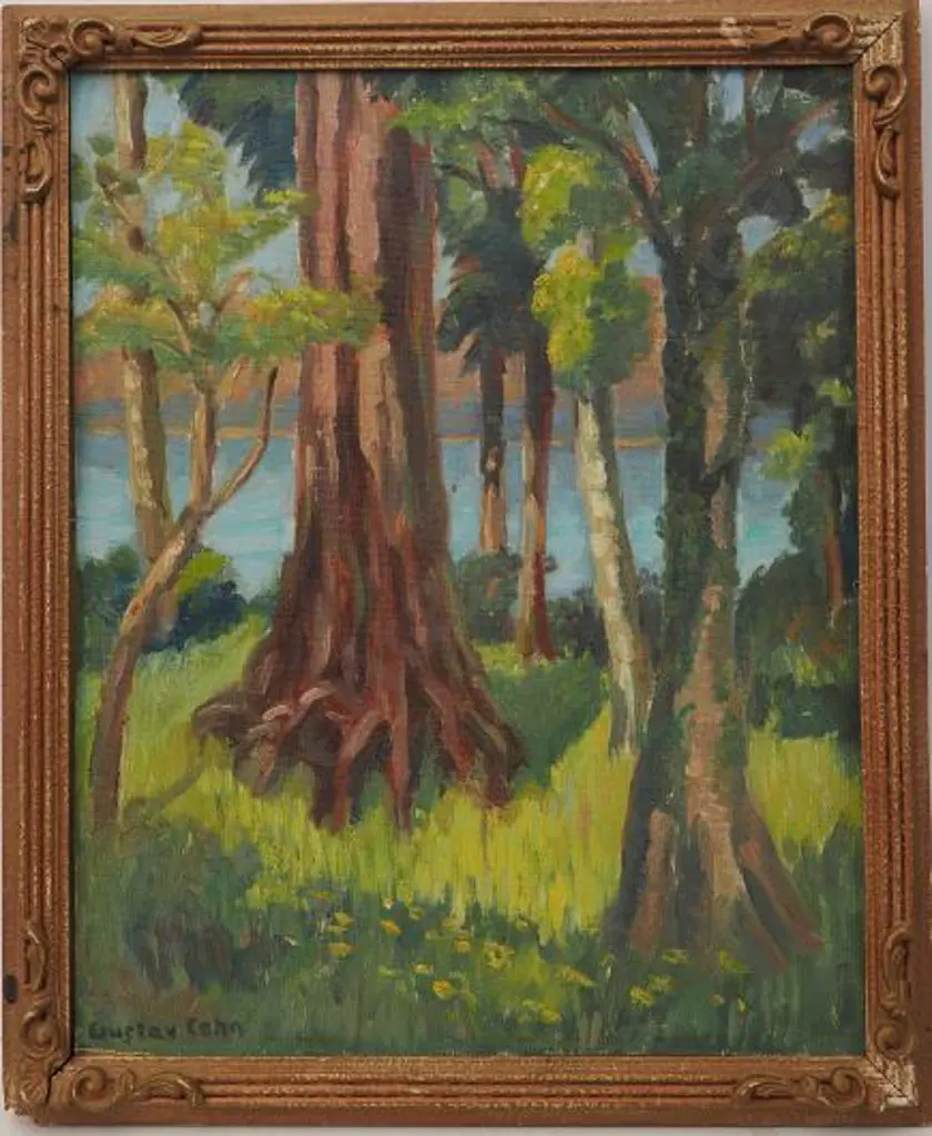 COHN, Gustav (1942-) - Kauri Tree and Sea Image 1++