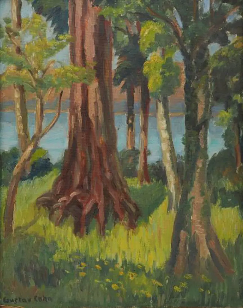 COHN, Gustav (1942-) - Kauri Tree and Sea Image 1++