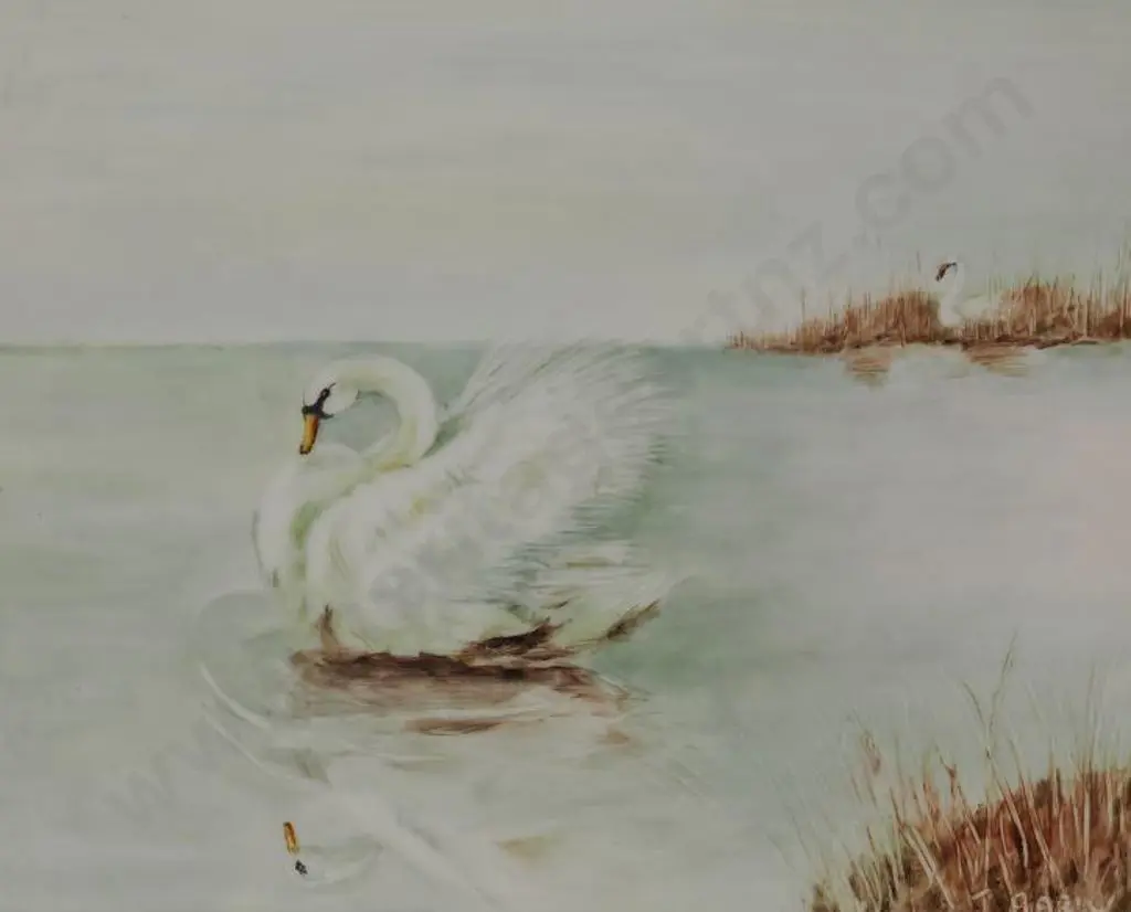 BARIV, J. - White Swan on Lake Image 1++