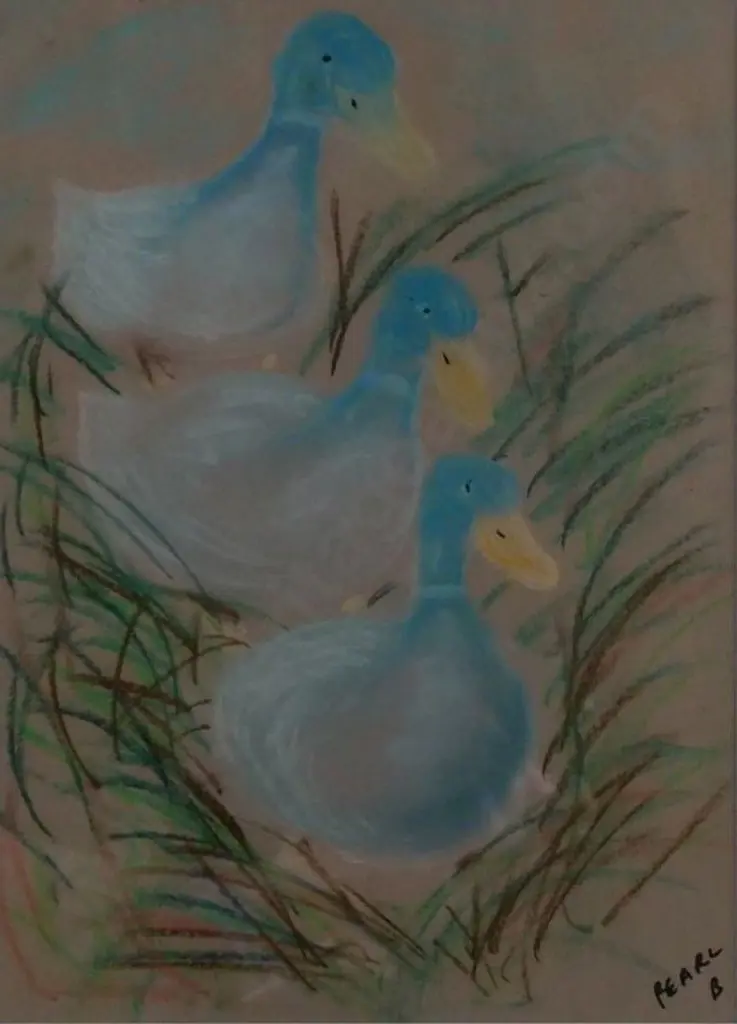 B, Pearl - Three Ducks Image 1++
