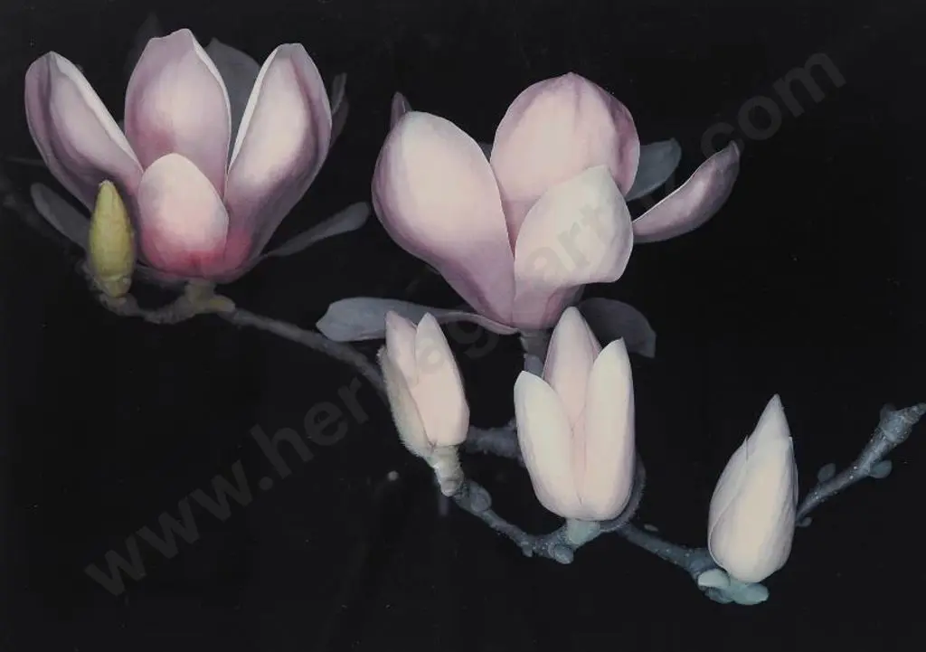 UNKNOWN photographer - Flowers Image 1++