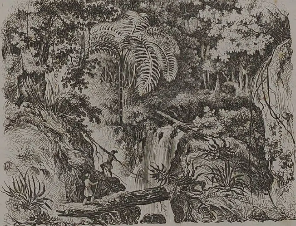 SAINSON, Louis de (1800-1874) - Ravine in New Zealand c. 1838 Image 1++