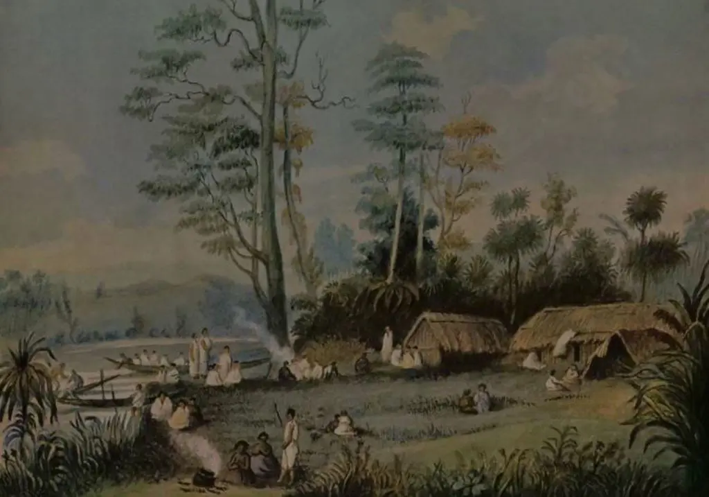 ANGAS, George French (1822-1886) - On the Waikatp at Kapou Image 1++