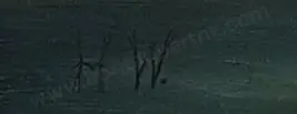 H.W. - Man Fishing in Mountain Stream Image 1++