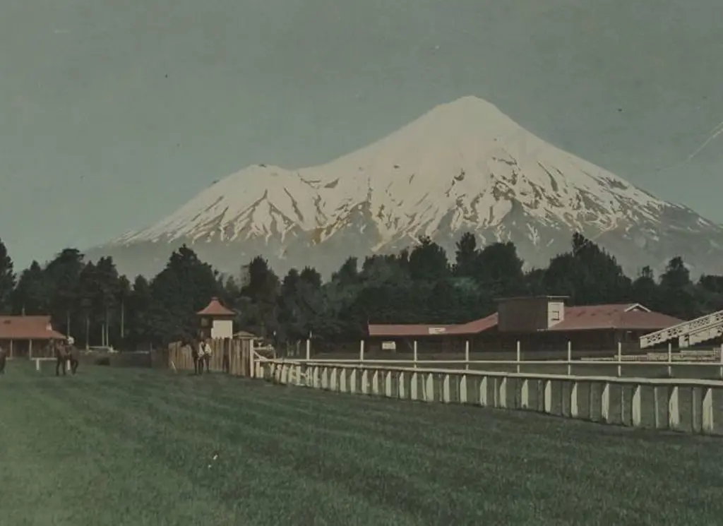 TILLEY, D.M. - Mount Egmont from Stratford Racecourse Image 1++