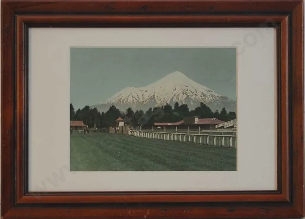 TILLEY, D.M. - Mount Egmont from Stratford Racecourse Image 1++