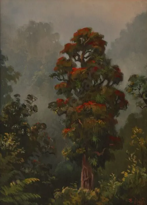 PAPPS, Ernest (1929-) - Uruwera Country Image 1++