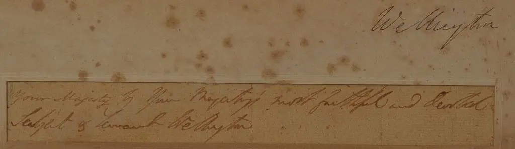 UNKNOWN Artist - Duke of Wellington Image 1++