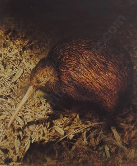 CHING, Raymond Harris (1939-) - Brown Kiwi in Moonlight Image 1++