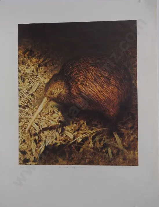 CHING, Raymond Harris (1939-) - Brown Kiwi in Moonlight Image 1++