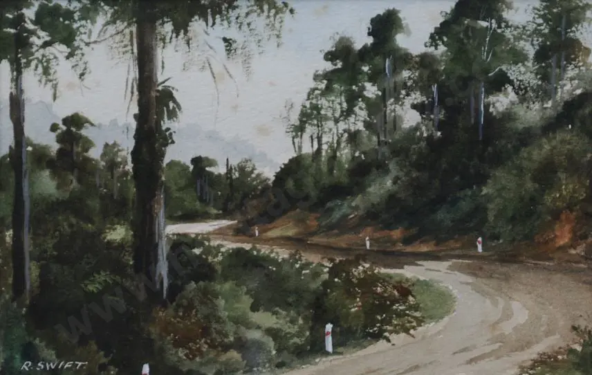 SWIFT, Rena (1931-) - Winding Road, Coromandel Hills Image 1++