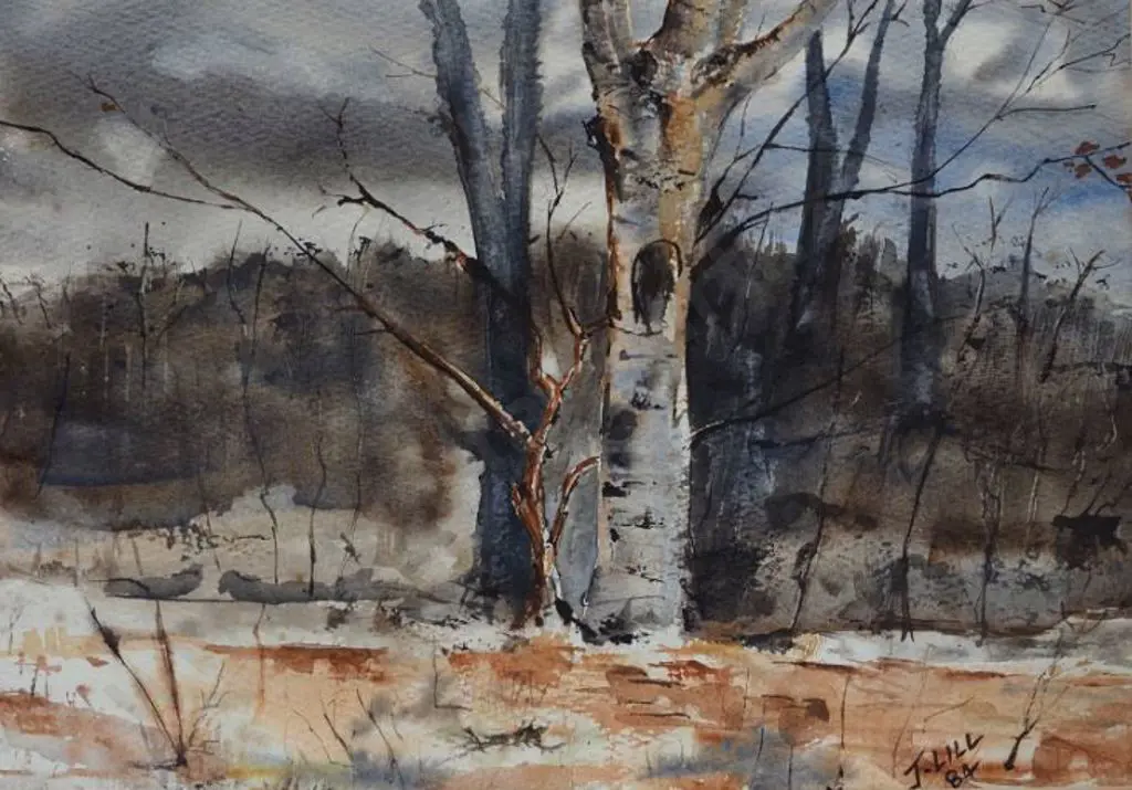 LILL, J. - After the Bushfire, 1984 Image 1++