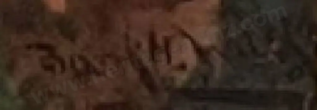 WALKER, F. H. - Birch Trees by Stream Image 1++