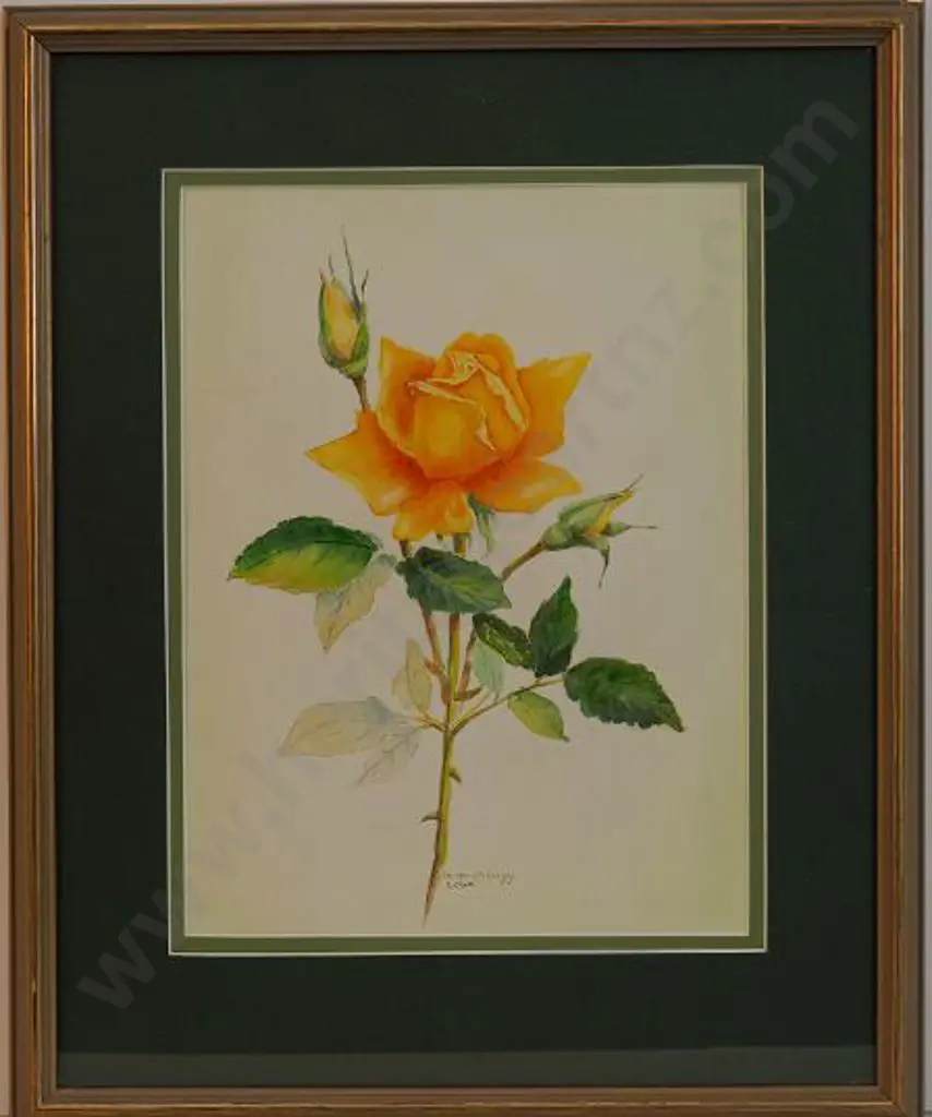 BRIGGS, Doreen - Orange Yellow Rose Image 1++