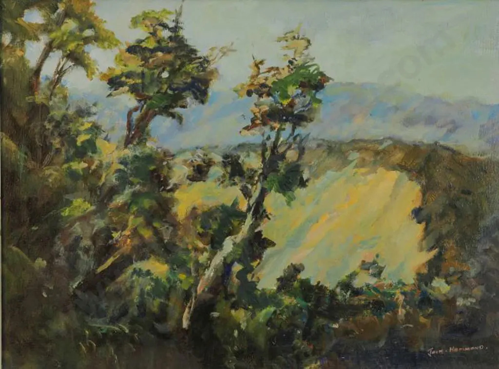 HAMMOND, Jack (1913-2009) - Trees & Hills Image 1++