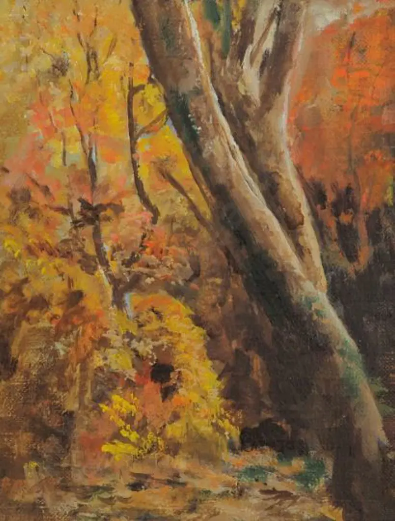 UNKNOWN artist - Tree in Forest Image 1++