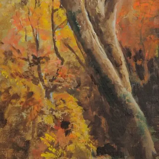 UNKNOWN artist - Tree in Forest