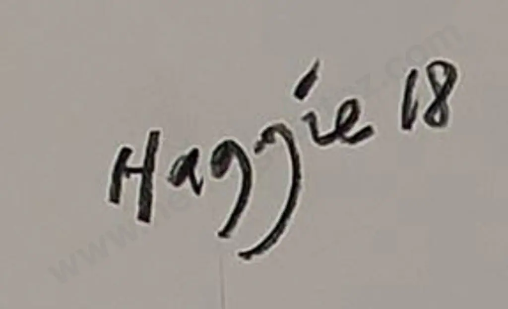 HAGGIE - Man Studying a Helmet Image 1++