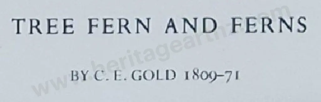 GOLD, Lt. Gen. Charles Emilius (1809-1871) - Tree Fern and Ferns Image 1++