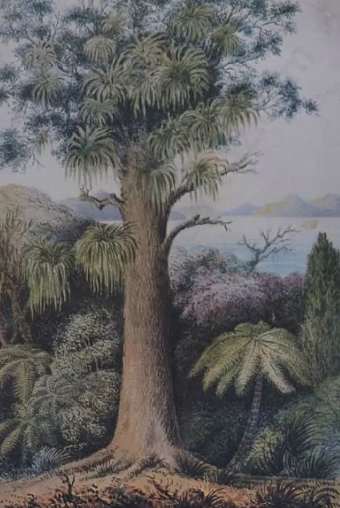 GOLD, Lt. Gen. Charles Emilius (1809-1871) - Rata Tree, Wellington, 1849 Image 1++
