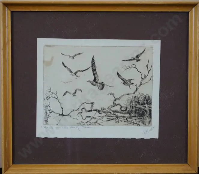 LOCKE, Walter Ronald (1883-1949) - Seabirds Image 1++