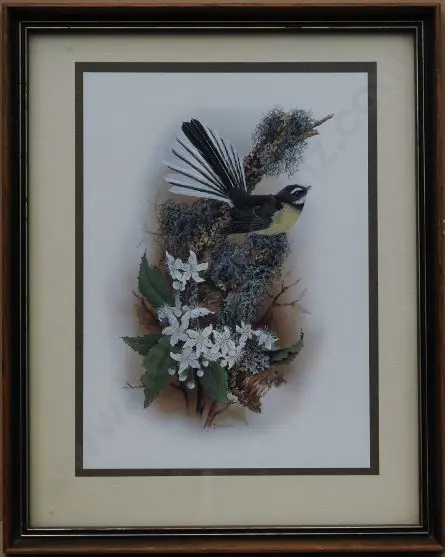 MARSHALL, Janet (1947-) - Fantail Image 1++