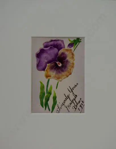 UNKNOWN Artist - Silk Pansy Christmas Postcard, 1906 Image 1++