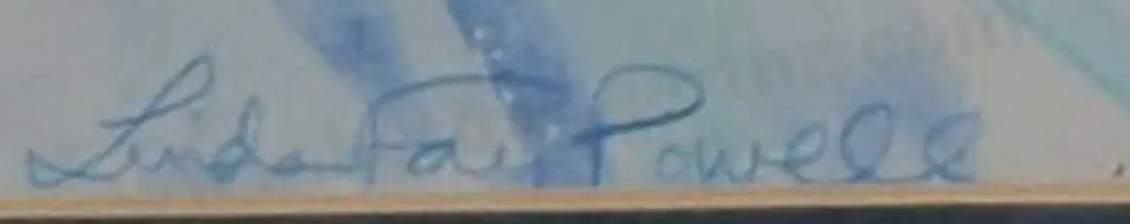 POWELL, Linda Fay - Faded Daffodils Image 1++