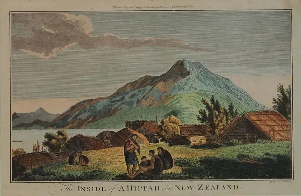 WEBBER, John (1751-1793) - Inside of a Hippah in New Zealand (Cook's Voyages) c. 1769 Image 1++