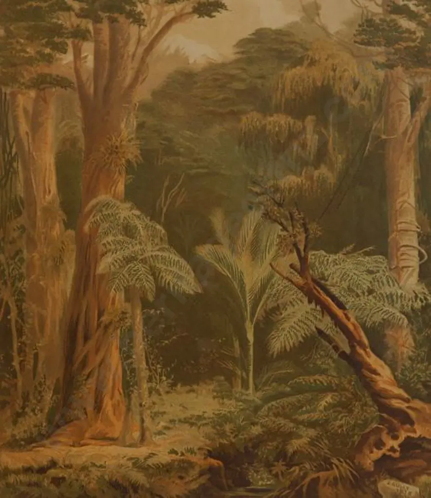 GULLY, John (1819-1888) - New Zealand Forest, 1877 Image 1++