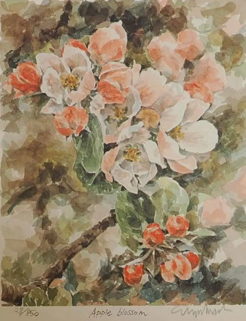 UNKNOWN Artist - Apple Blossom Image 1++
