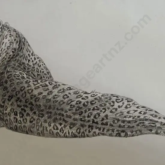 UNKNOWN Artist - Leopard